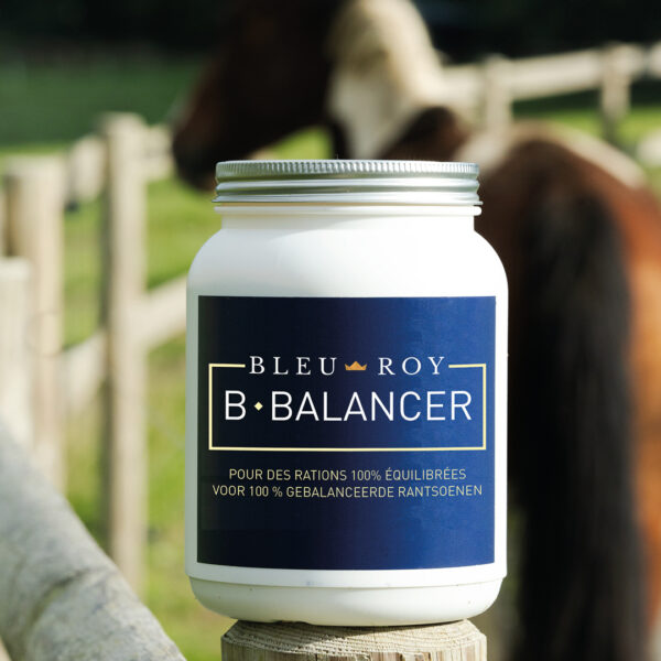 B-Balancer – Image 3