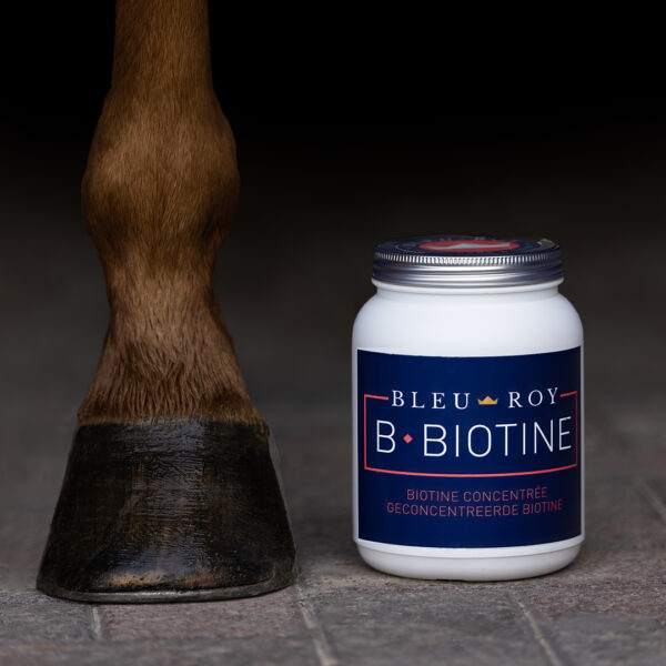 B-Biotine – Image 3