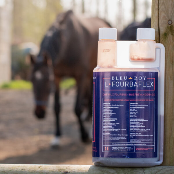 L-Fourbaflex – Image 2