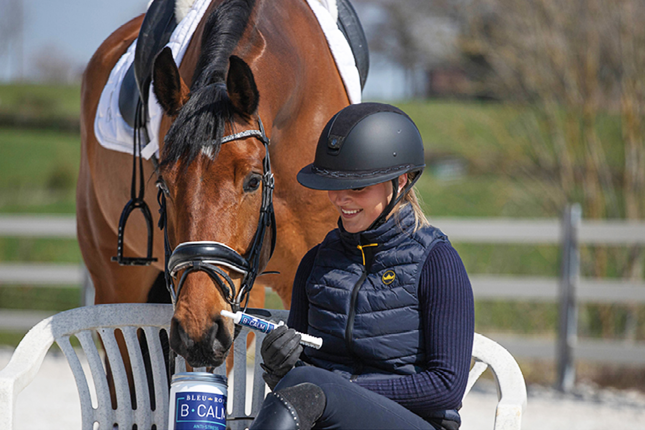 Cheval stressé
