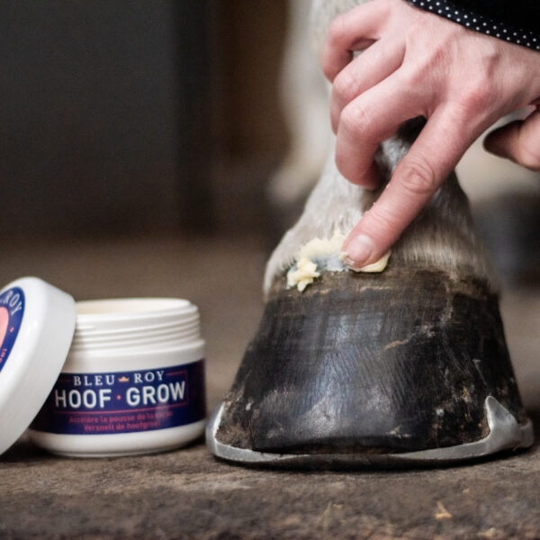 Hoof Grow - Image 2