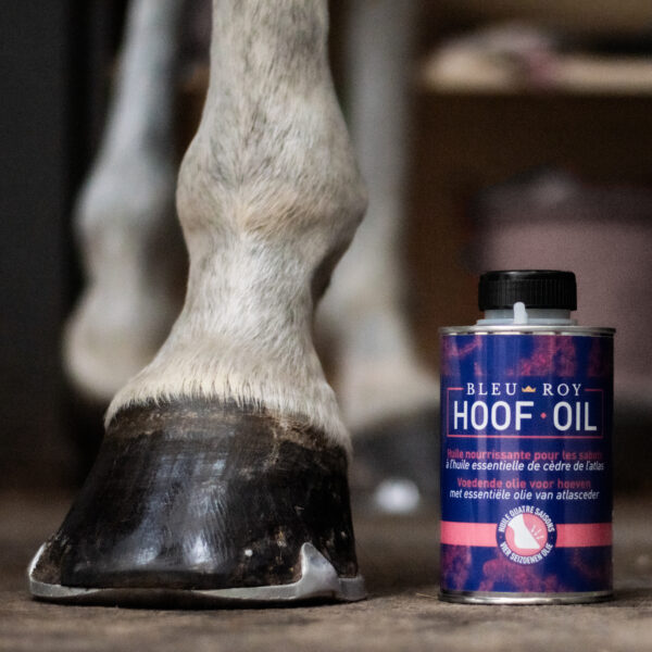 Hoof Oil – Image 4