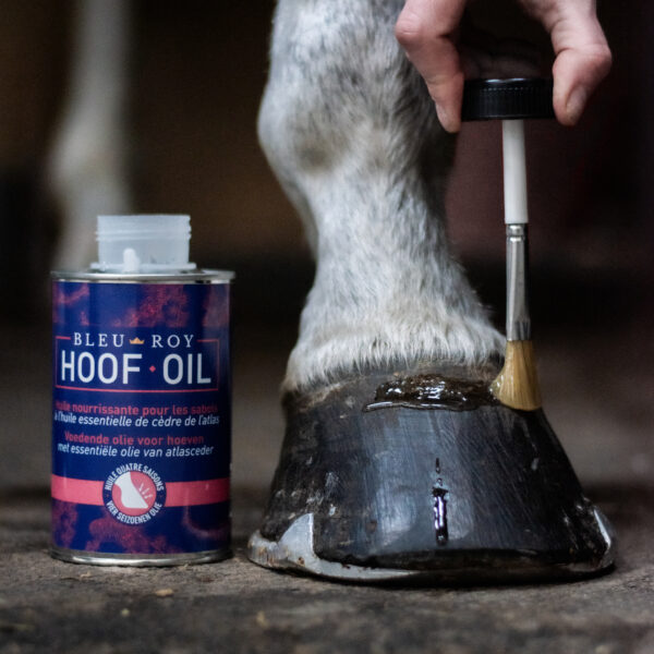 Hoof Oil – Image 2