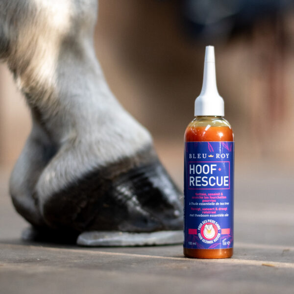Hoof Rescue - Image 2