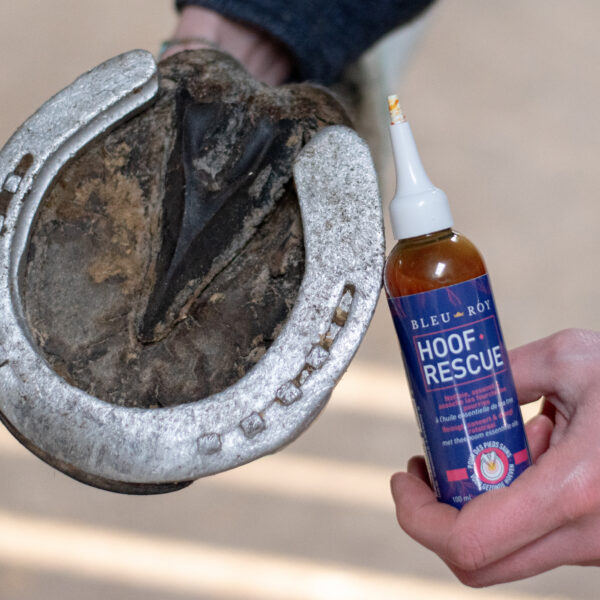Hoof Rescue - Image 3