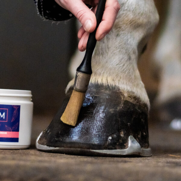 Hoof Cream - Image 2