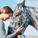 CMV cheval