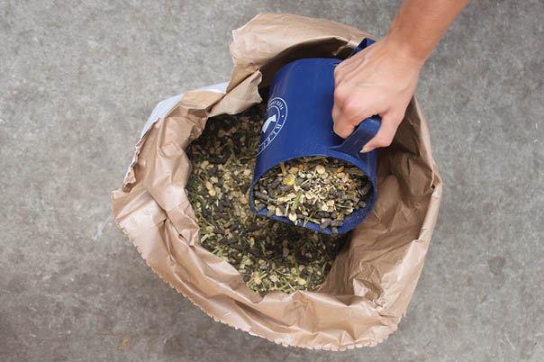 Les aliments riches en protéines et en matières grasses