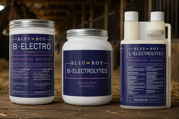 électrolytes pour cheval en poudre, liquide et pâte Bleu-Roy
