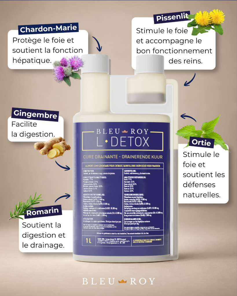 L-Detox, cure drainante aux 5 plantes pour cheval